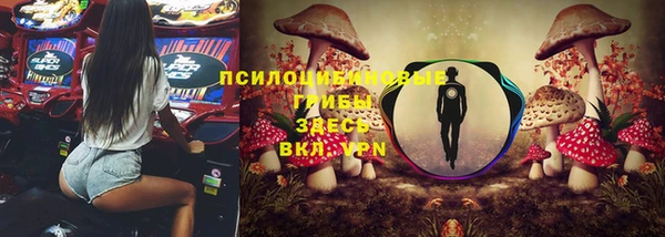 PSILOCYBIN Киренск