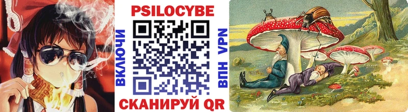Галлюциногенные грибы мицелий  Купить где  Карасук 